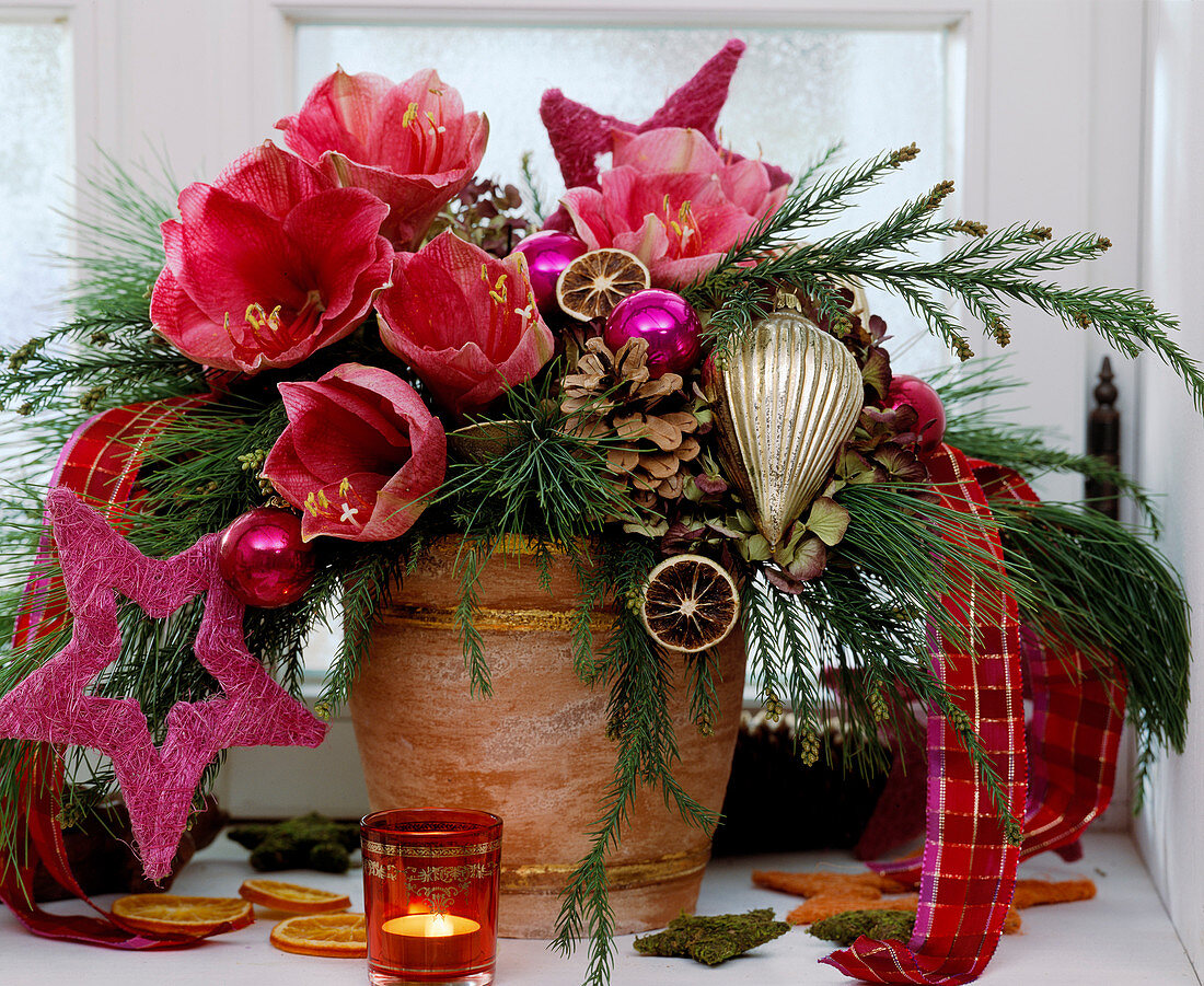 Advent Bouquet with Hippeastrum