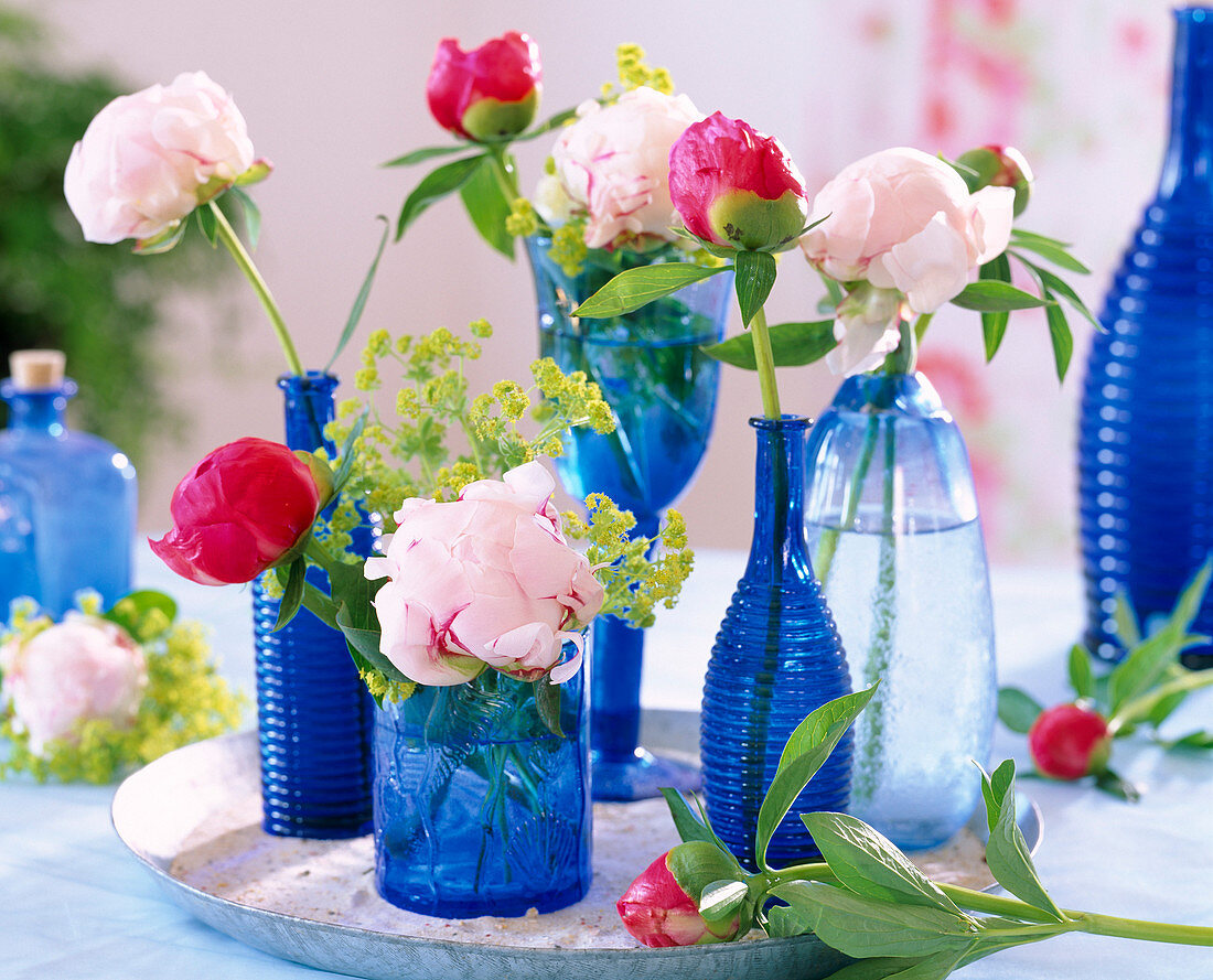 Bottles and jars with single Paeonia flowers