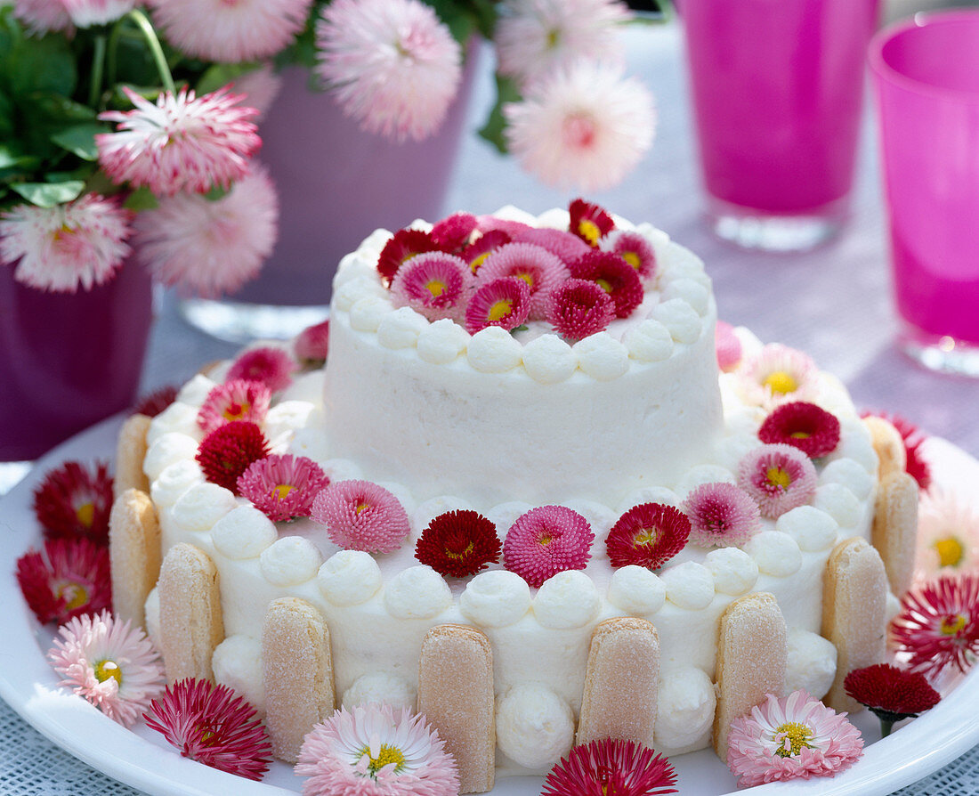Torte mit Bellis / Tausendschönblüten dekoriert