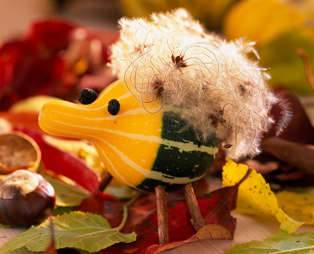 Pumpkin figure with hair made from clematis fruits