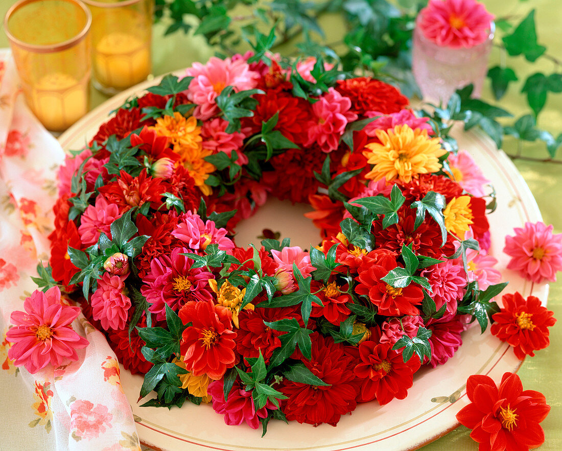 Wreath with Zinnia (Zinnia)