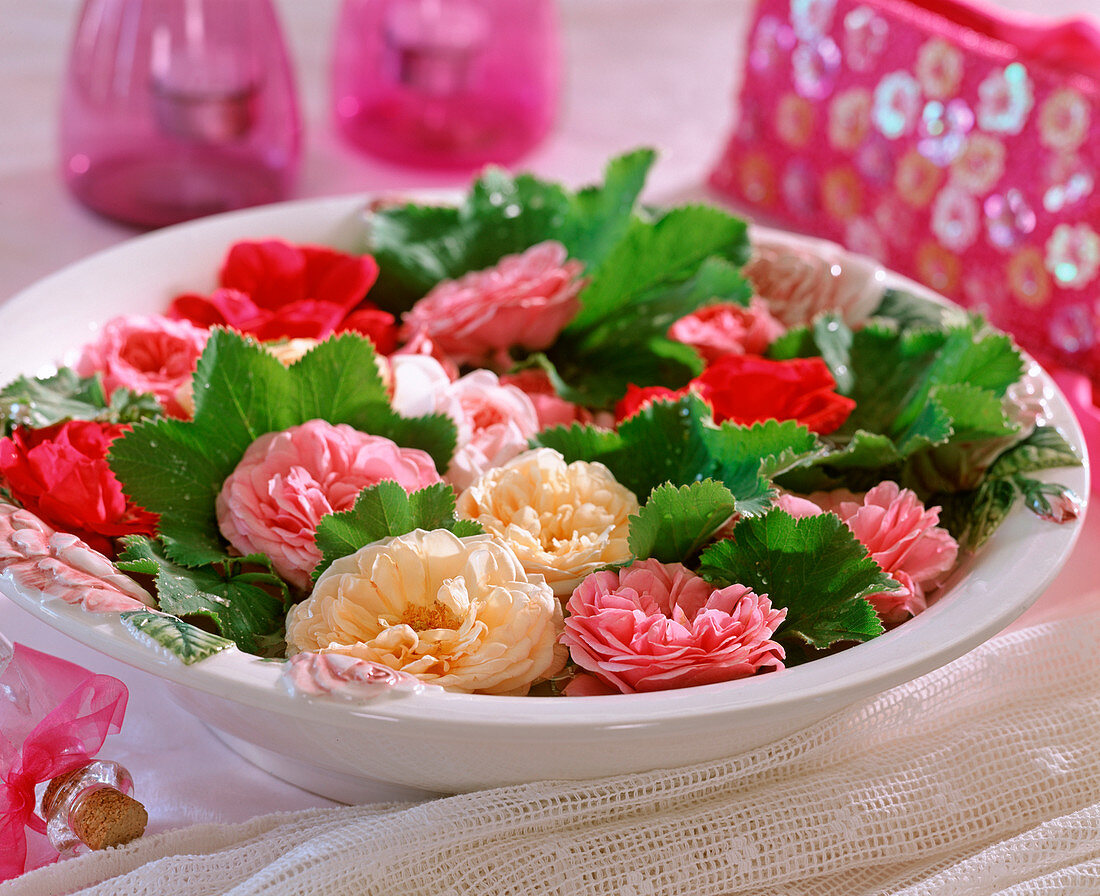 Bowl with flowers of historic roses