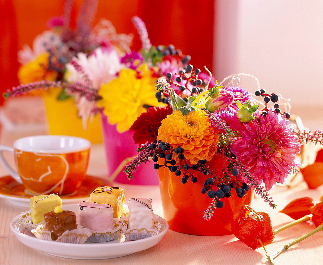 Dahlia / Dahlien, Aster / Herbstastern, Parthenocissus / Wilder Wein, Calluna