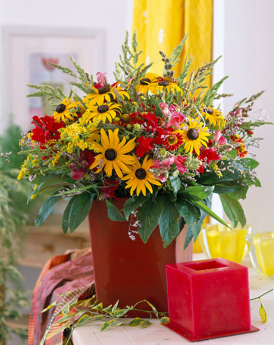 Rudbeckia (Sonnenhut), Gräser, Solidago (Goldrute)