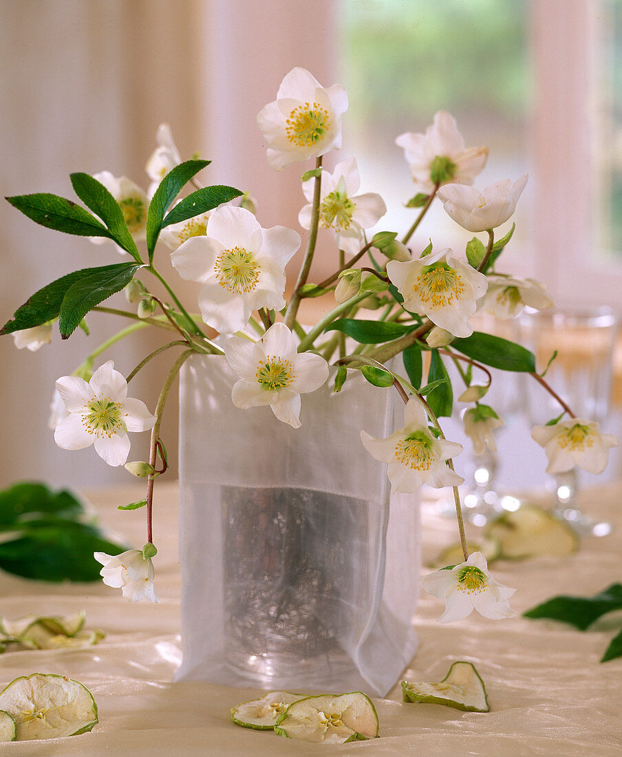 Glass with helleborus flowers