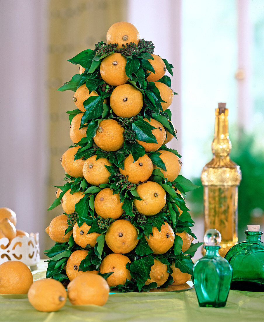 Zitronenpyramide auf Oasis-Rohling gesteckt, Citrus limon