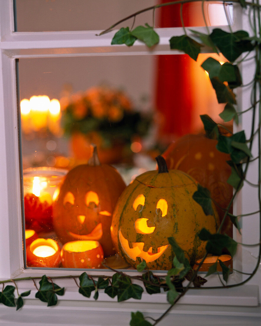 Halloween Window