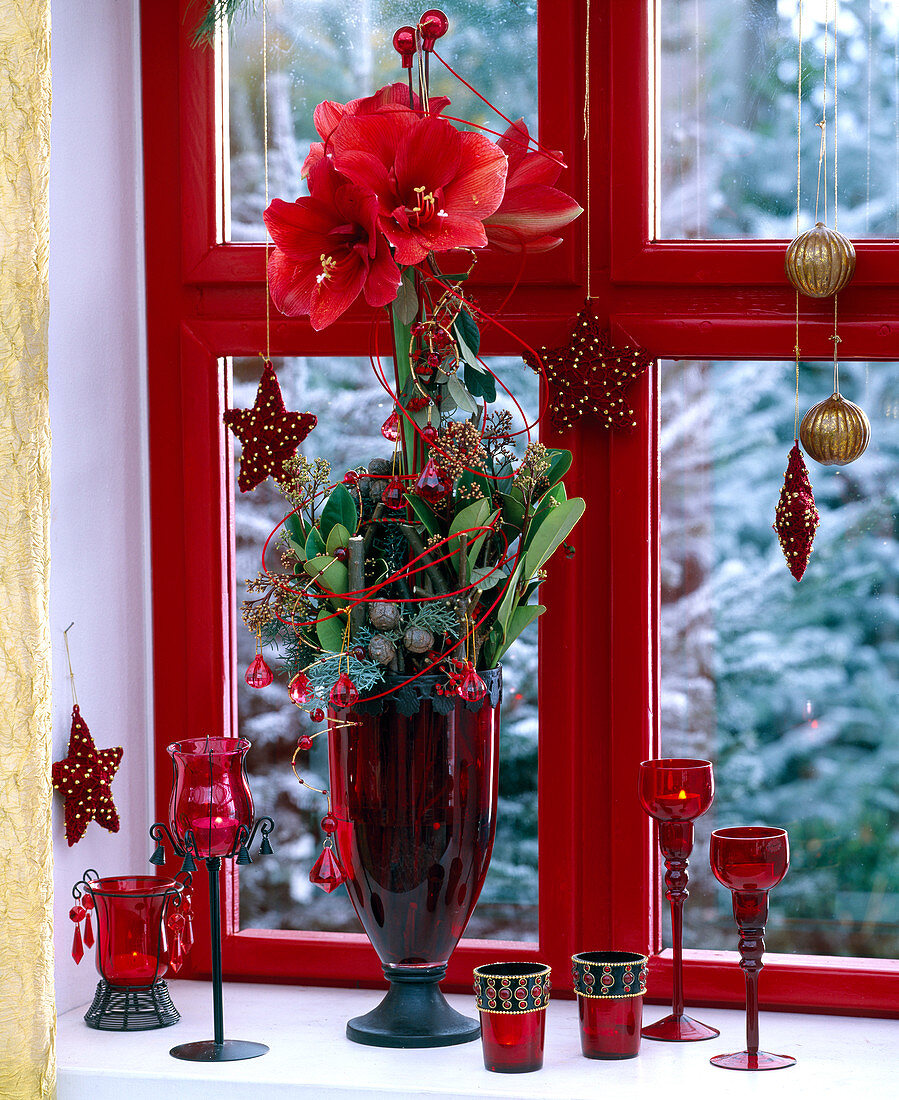 Amaryllis weihnachtlich geschmückt am Fenster