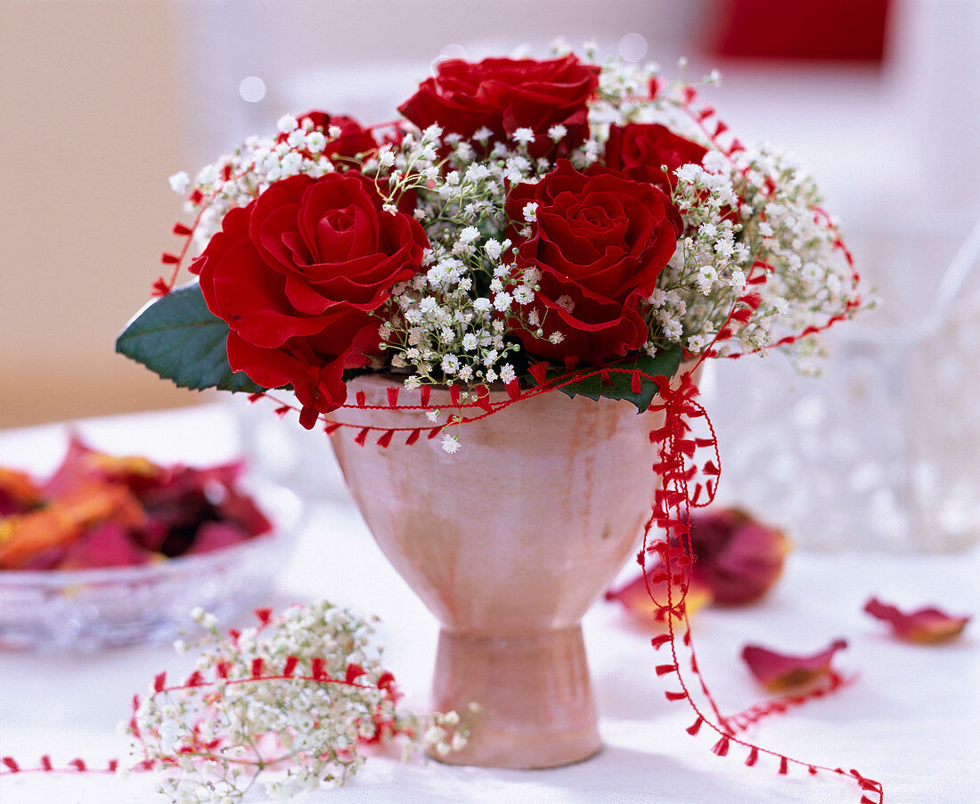 Rosa / Rote Rosen, Gypsophila / Schleierkraut