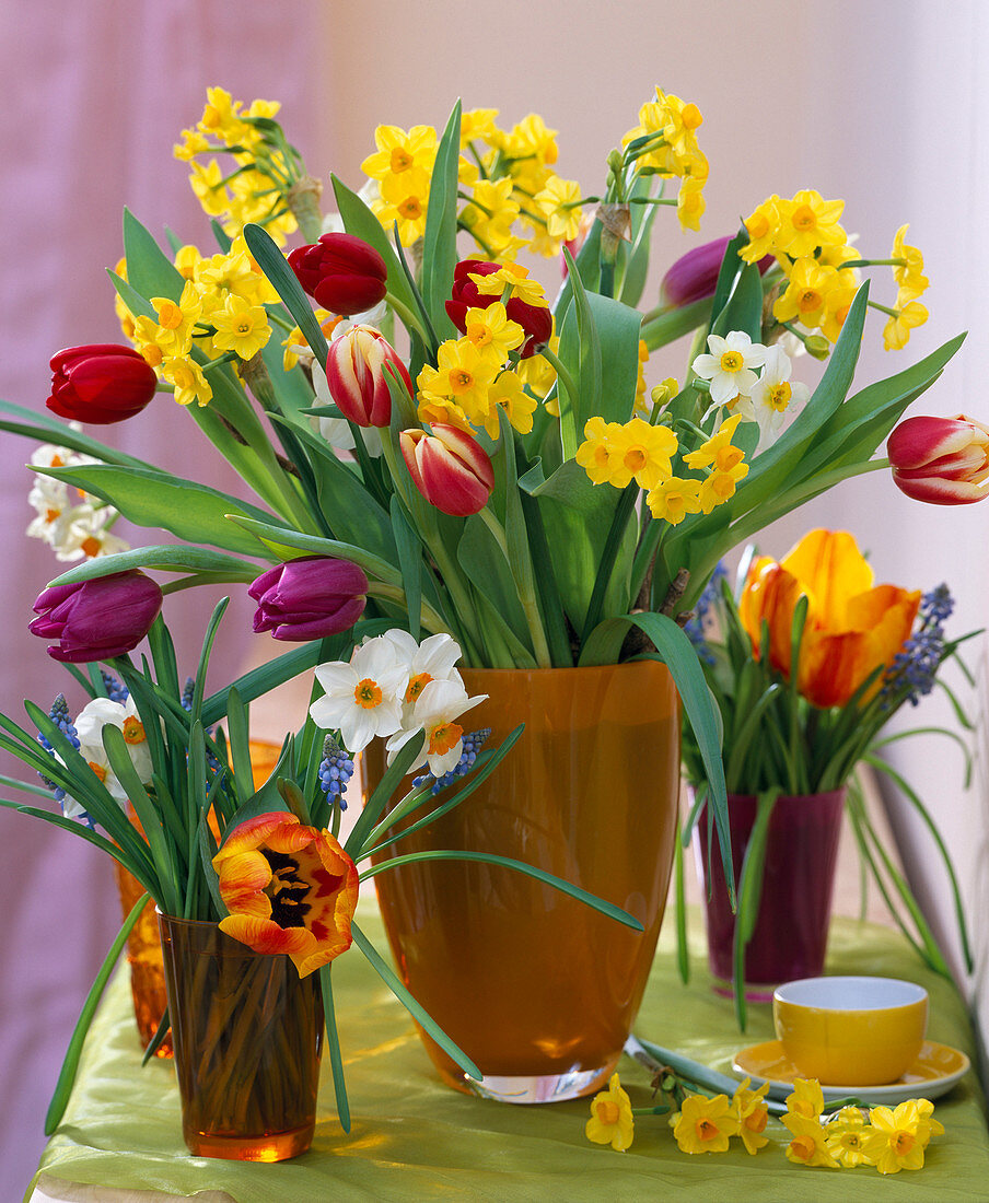 Tulipa (tulip), Narcissus 'Grand Soleil d'Or' and 'Geranium'