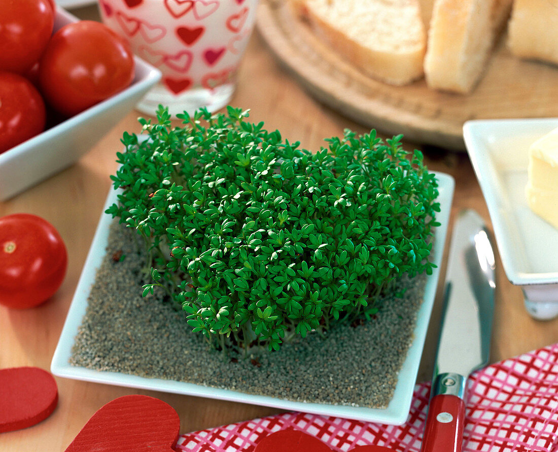 Cress heart on the breakfast table