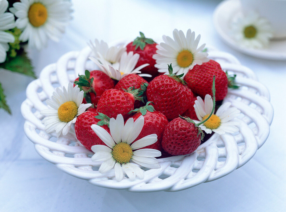 Schale mit Fragaria / Erdbeeren
