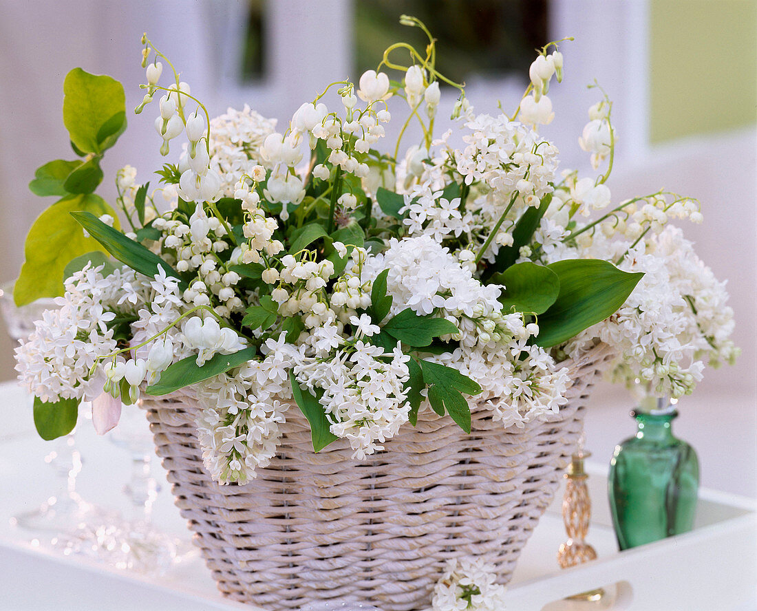 Syringa / Flieder, Convallaria / Maiglöckchen, Dicentra