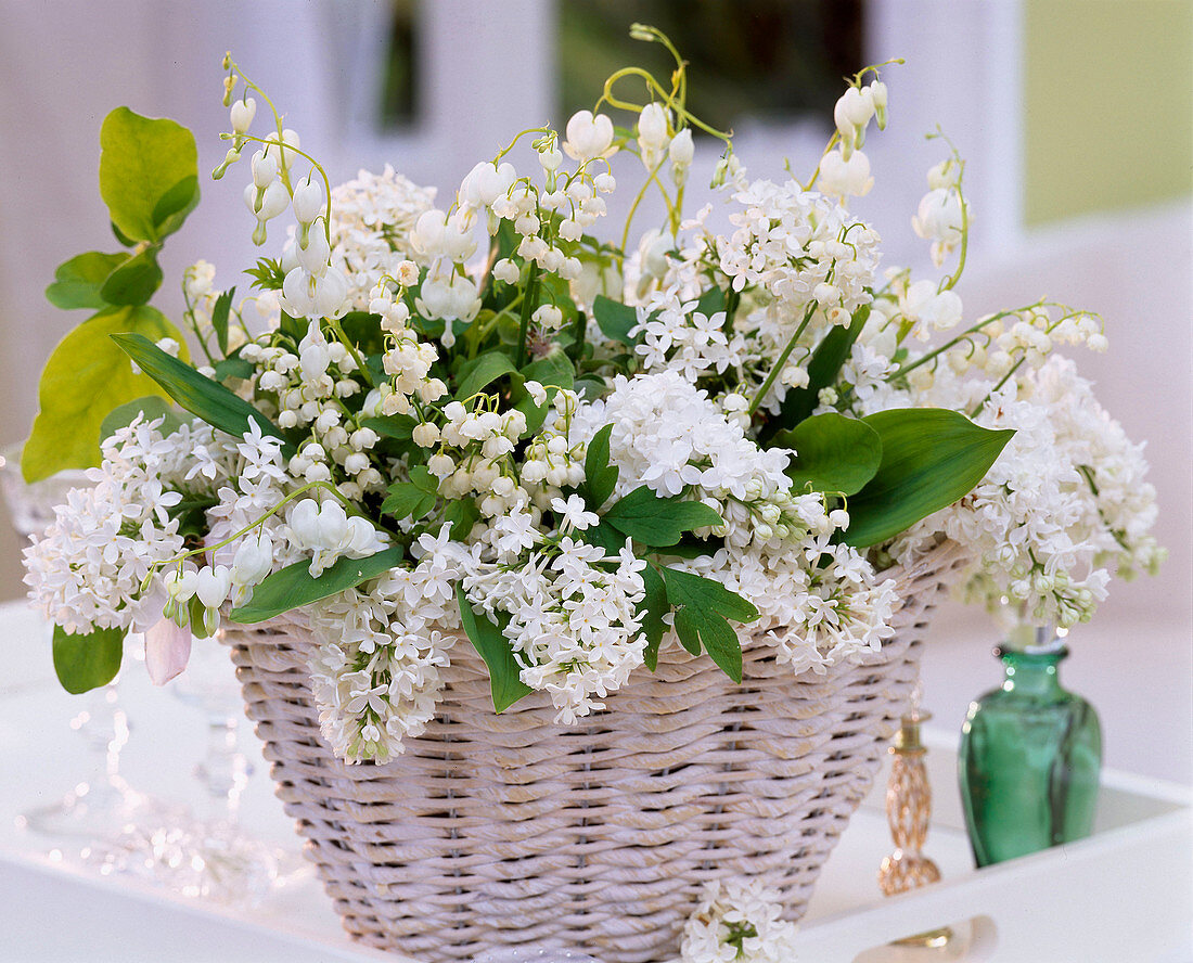 Syringa (lilac), Convallaria (lily of the valley), Dicentra
