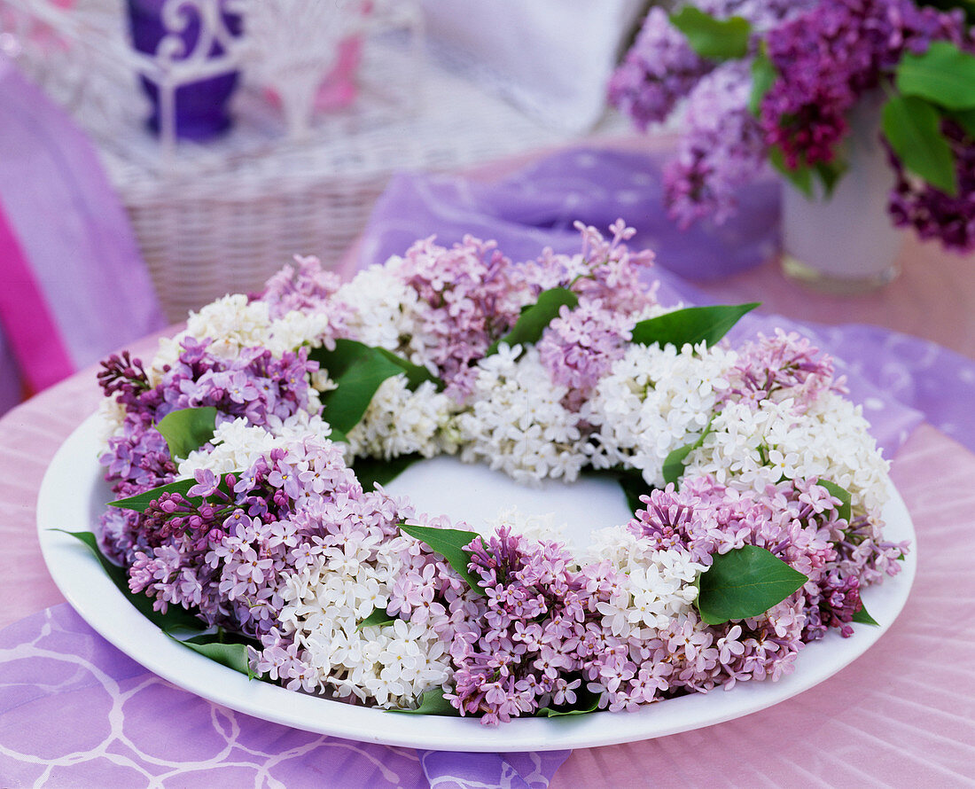 Syringa (lilac) wreath on white porcelain plate