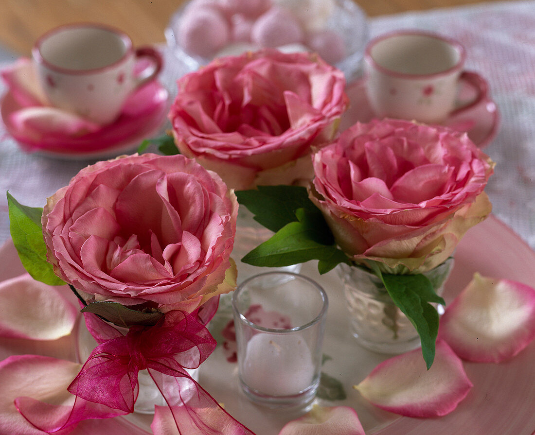 Rosa 'Esperance' / Rosenblüten einzeln in kleinen Gläschen