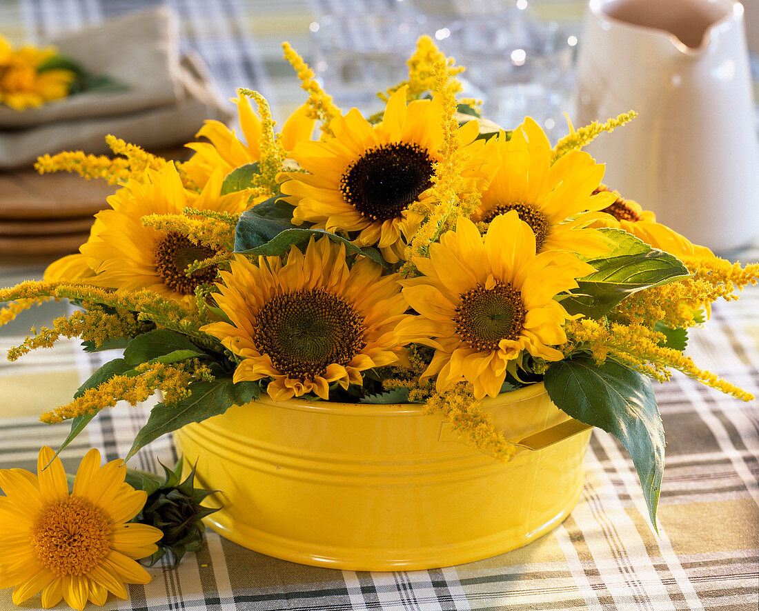 Yellow tin cup with Helianthus annuus (sunflowers