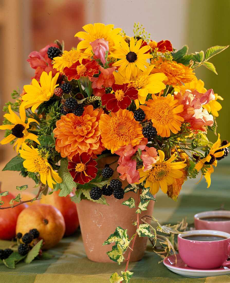 Calendula 'Kablouna' (Marigold), Rudbeckia (Coneflower)