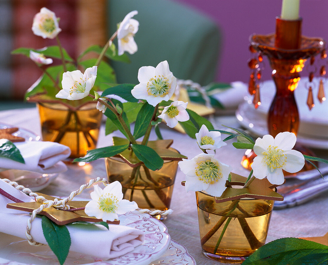 Christmas roses as Christmas table decoration