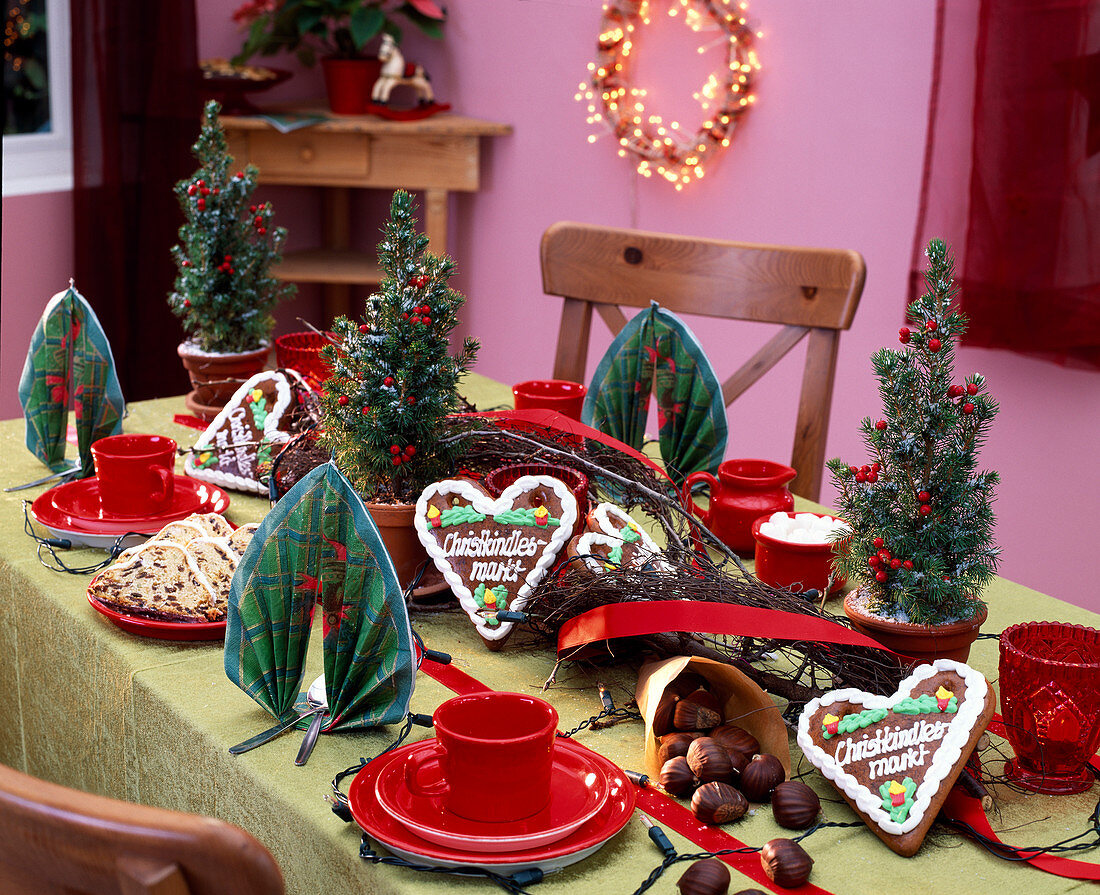 Weihnachtliche Tischdeko mit Picea (Zuckerhutfichte)