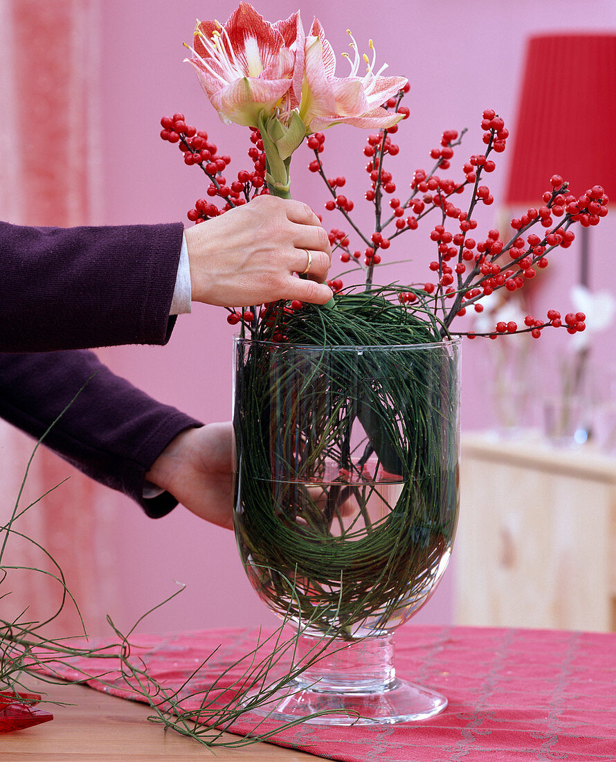 Amaryllisgesteck: 4/5: Cytisus / Ginster, Ilex / Zweige der Winterbeere stecken.