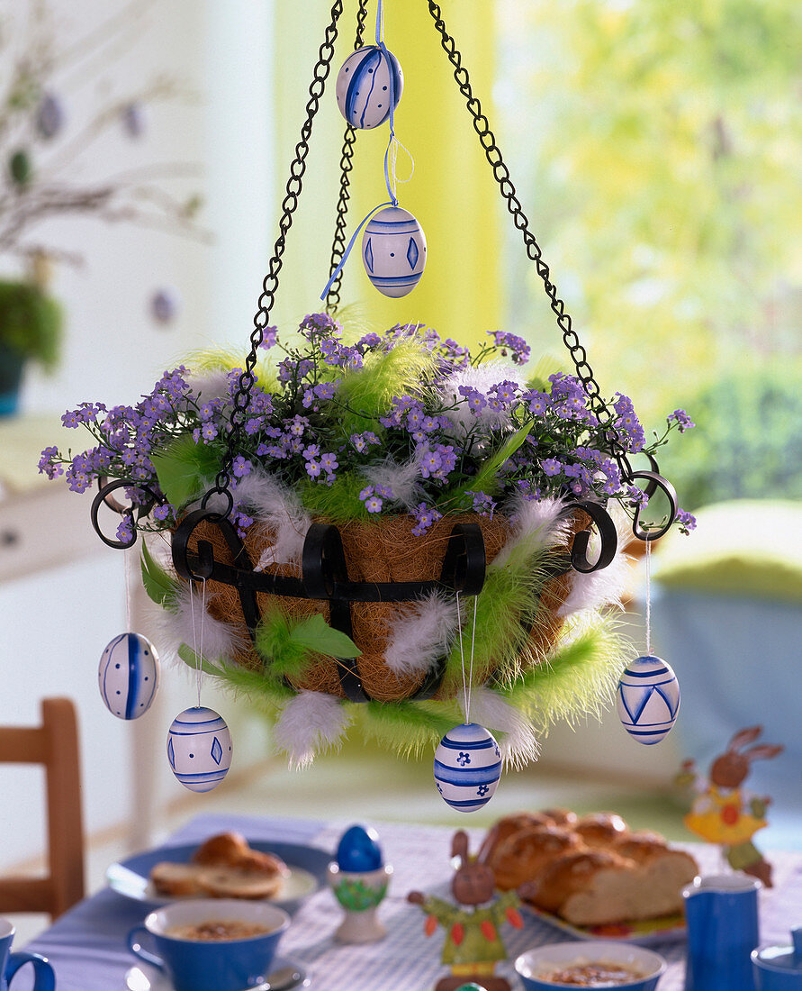 Hanging Basket mit Myosotis (Vergißmeinnicht)