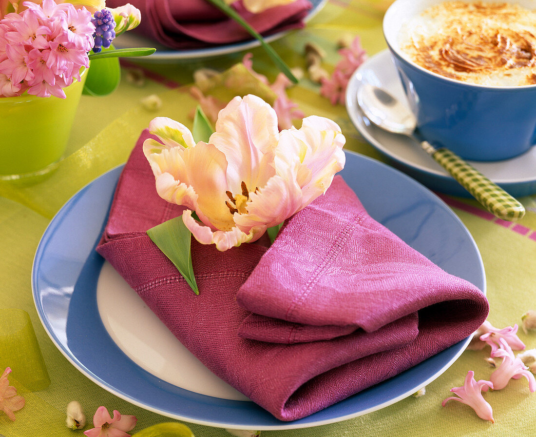Tulipa 'Fantasy' (pink parrot tulip) on napkin