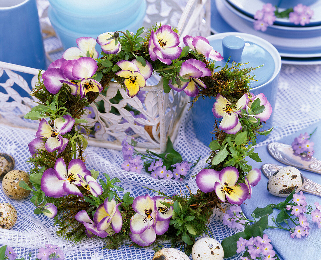 Viola sorbet 'Coconut Swirl' and 'Lemon Swirl' (horn violet)