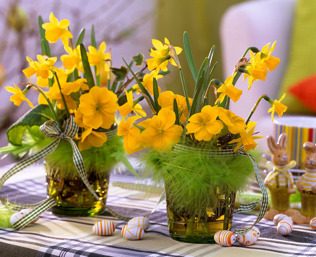 Narcissus 'Tete À Tete' (Daffodil) Easter