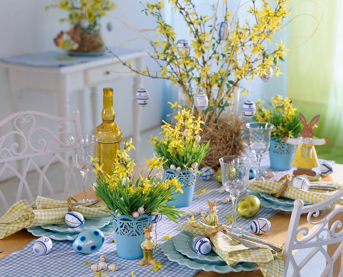 Forsythia (Goldglöckchen), Weizengras in Blechtöpfen