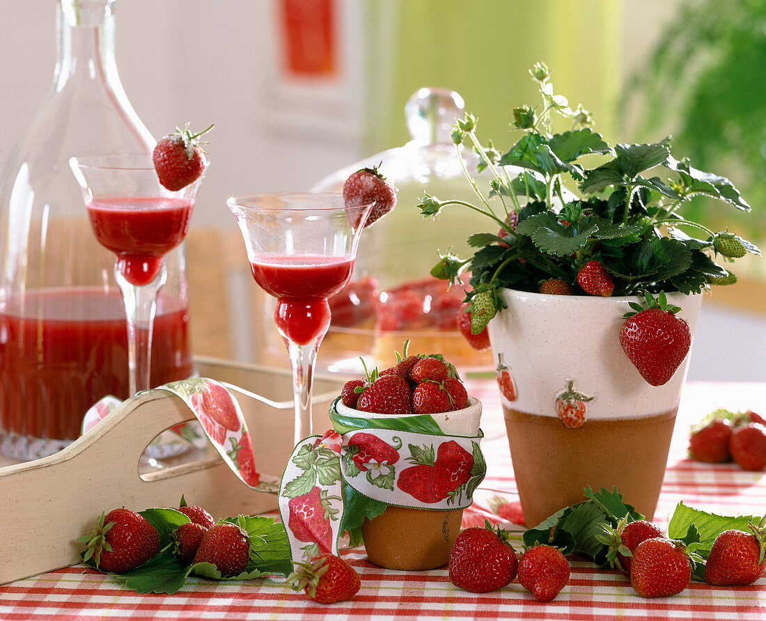 Erdbeeren, Erdbeerpflanze, Erdbeerlikör / Limes