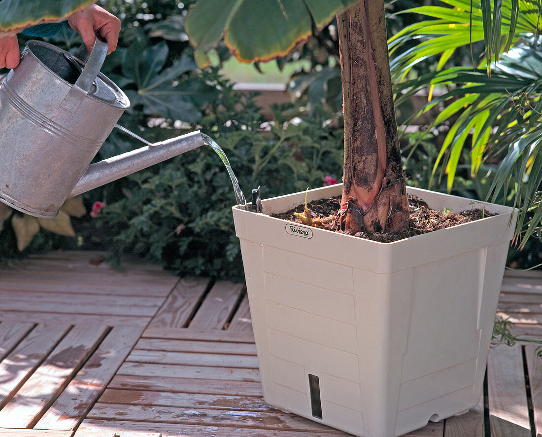 Container mit Wasserspeicher