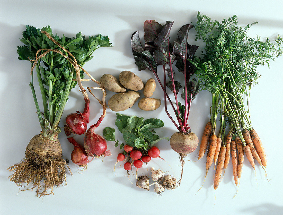 Carrots, beetroot, potatoes, radishes