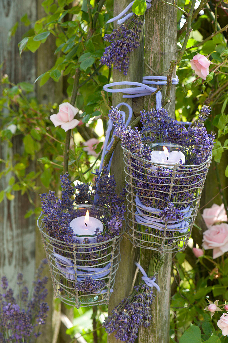 Lanterns with lavandula in wire baskets hung on posts