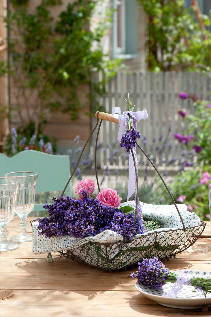 Drahtkorb mit Lavandula (Lavendel) und Blüten von Rosa