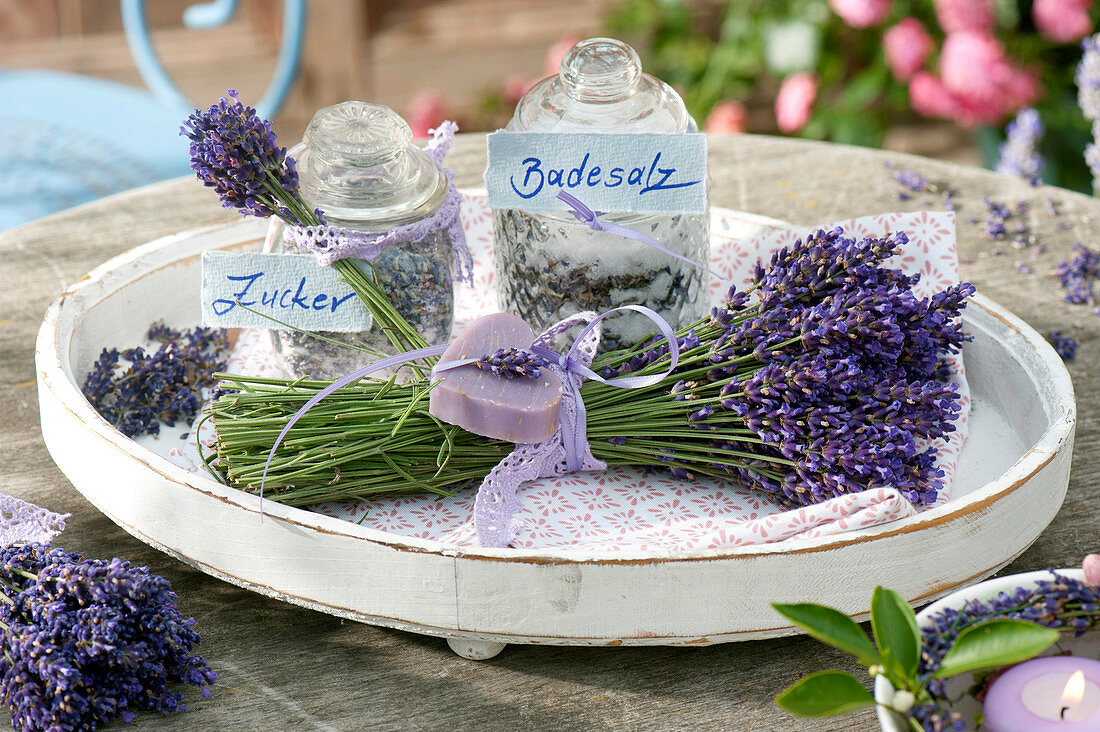 Self made gifts, bouquet of lavandula (lavender)