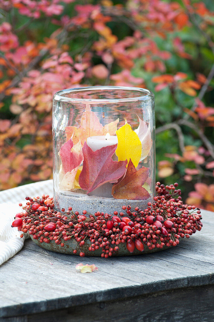 Lantern with colorful leaves in roses (rosehip) wreath
