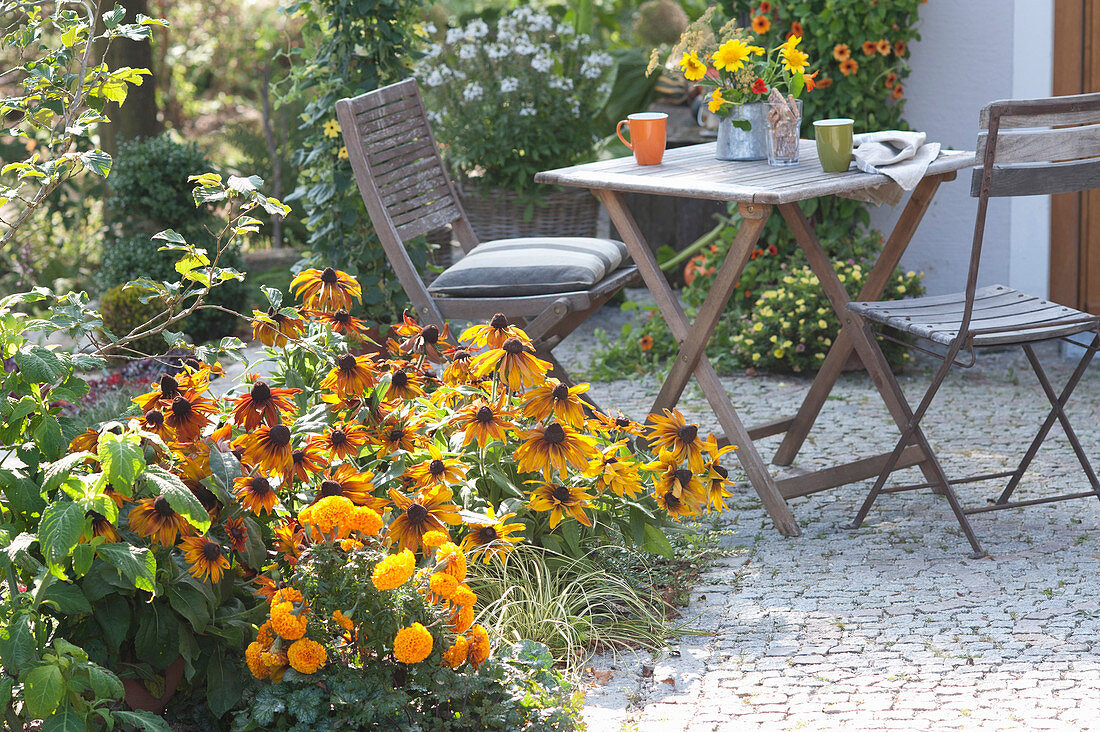 Small seating area on the terrace bed, Rudbeckia hirta (sun hat)