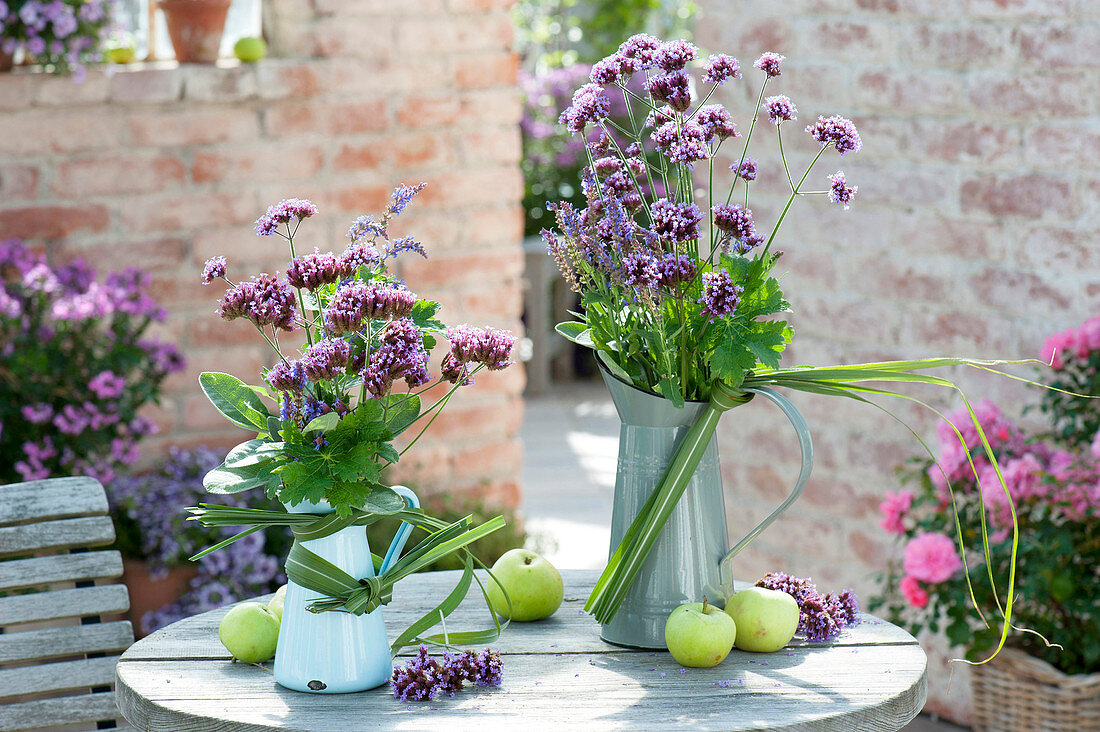 Bouquets of Verbena bonariensis (verbena), Salvia officinalis