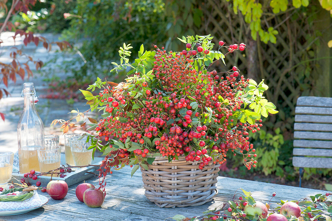 Bouquet made of roses (rosehip) in basket vase