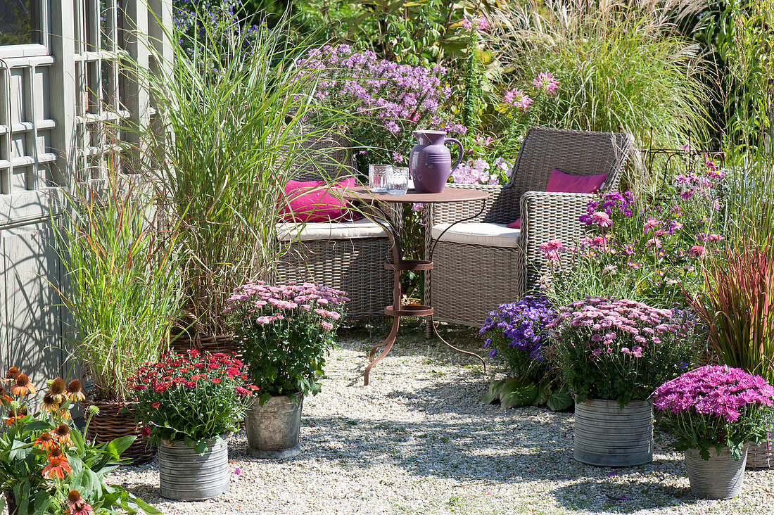Gravel terrace with perennials, grasses and seating