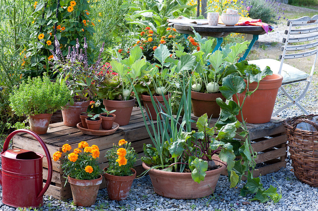 Snack terrace with vegetables and summer flowers