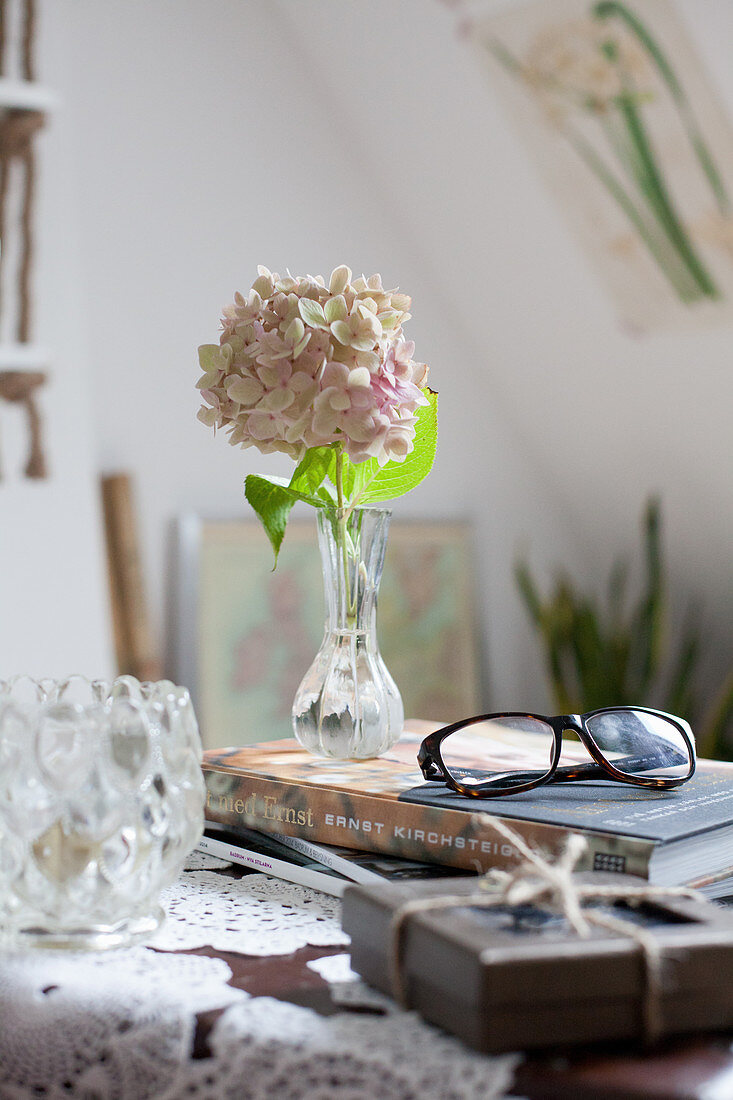 Hortensie in einer nostalgischen Vase auf einem Buch mit Brille