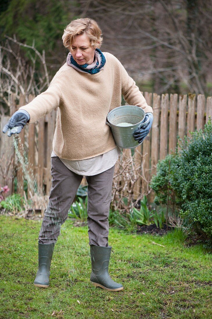 Frau beim Rasen düngen mit Granulat aus Zinkeimer
