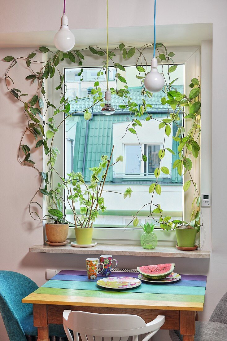 Climbing plants framing window above table with striped top