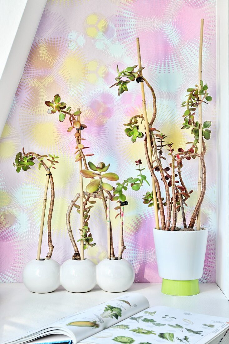 Tall spindly money trees in front of patterned wallpaper