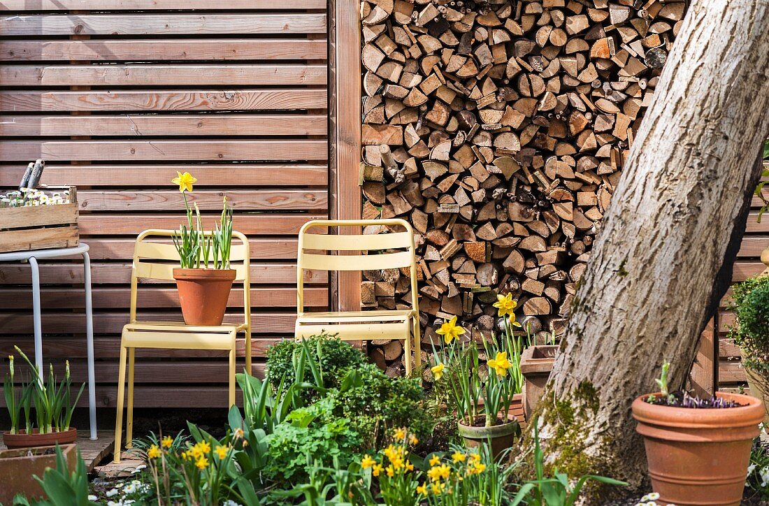 Blumenbeet mit Frühlingsblumen vor Brennholzstapel und Holzwand