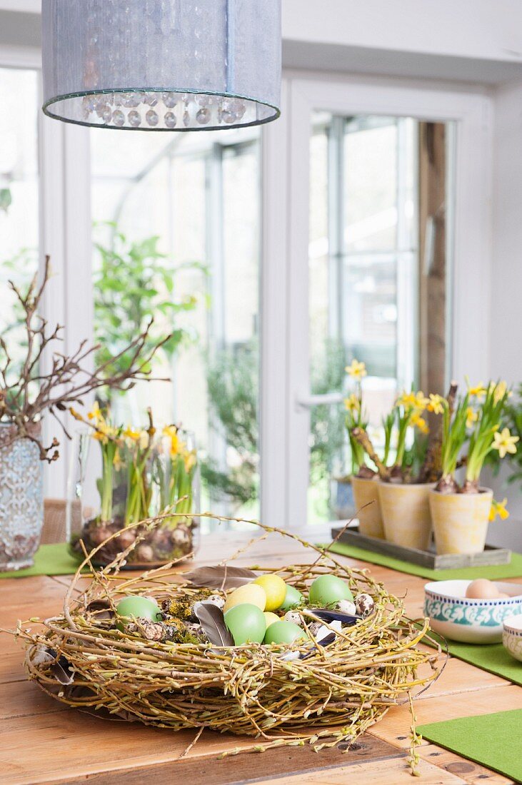 Kranz aus Forsythienzweigen mit gefärbten Ostereiern und Vogelfedern auf Holztisch