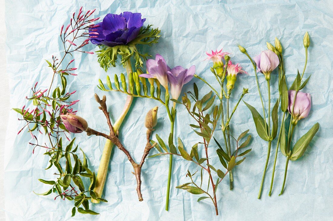 Blumen für einen Frühlingsstrauß auf einem hellblauen Seidenpapier