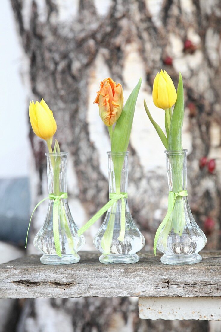Tulpen in drei Glasvasen auf Holzuntergrund